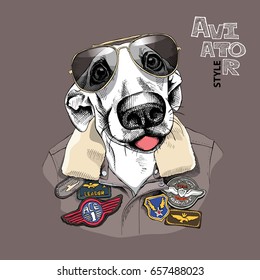 Portrait Of The Dog In A Aviator Glasses And Leather Jacket With A Sewing Embroidery Patch. Vector Illustration.