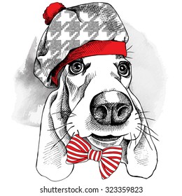 Portrait of dog Basset Hound in a beret hat and with tie. Vector illustration.