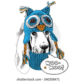 Portrait of a dog Basset Hound in blue owl hat with ear flaps and knitted scarf. Vector illustration.