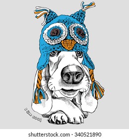 Portrait of a dog Basset Hound in blue owl hat with ear flaps on gray background. Vector illustration.