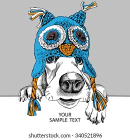 Portrait of a dog Basset Hound in blue owl hat with ear flaps on gray background. Vector illustration.