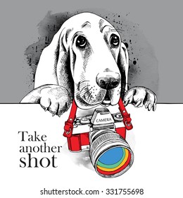 Portrait of a dog Basset Hound with color camera on gray background. Vector illustration.