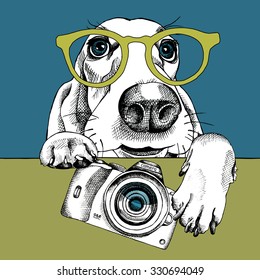 Portrait of a dog Basset Hound in glasses with camera. Vector illustration.