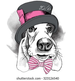 Portrait of a dog Basset Hound in a Hatter top hat and with bow. Vector illustration.