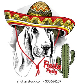 Portrait of a dog Basset Hound in Mexico sombrero with cactus. Vector illustration.