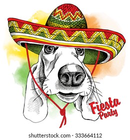 Portrait of a dog Basset Hound in Mexico sombrero on a bright background. Vector illustration.