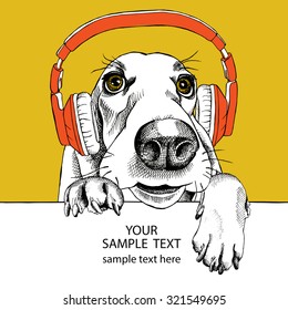 Portrait of a dog Basset Hound in red headphones on yellow background. Vector illustration.