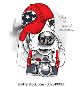 Portrait of a dog Basset Hound in red cap with camera. Vector illustration.