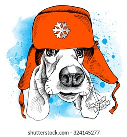 Portrait of a dog Basset Hound wearing the red winter hat with ear flaps on blue background. Vector illustration.