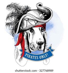 Portrait of a dog Basset Hound wearing a pirate hat and bandana with image of skull. Vector illustration.