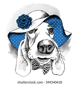 Portrait of a dog Basset Hound wearing blue summer sun hat with knitted flower. Vector illustration.