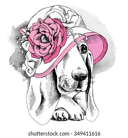 Portrait of a dog Basset Hound wearing Summer hat with pink flower by Vintage Style. Vector illustration.