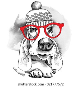 Portrait of a dog Basset Hound in winter knitted hat with glasses. Vector illustration.