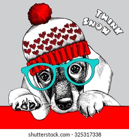 Portrait of a dog Beagle in knitted hat and glasses. Vector illustration.