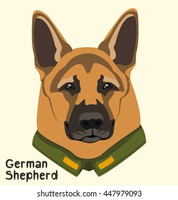 Portrait of a dog breed German Shepherd in the military jacket