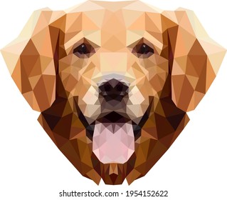 Retrato de un perro de raza Golden retriever (Labrador) en bajo estilo de poli. Muy amigable y amable. Ilustración del vector