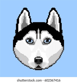 Portrait dog breed Husky in the style of pixel art. Vector illustration.