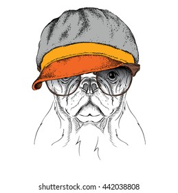 Portrait of dog in cap. Vector illustration.