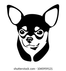 Portrait of a dog of the Chihuahua breed. Vector illustration