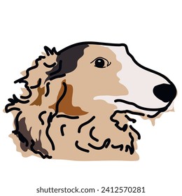 Portrait of a dog in color, border collie. Cute dog