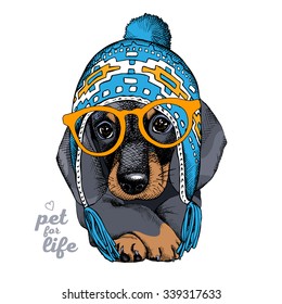 Portrait of a dog Dachshund in blue hat with ear flaps and glasses. Vector illustration.