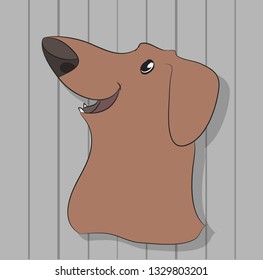 portrait of a dog dachshund on the wall background, vector, looks