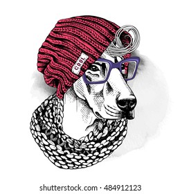 Portrait of a dog Doberman in a hipster knitted red hat, in a white scarf with a glasses. Vector illustration.