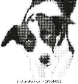 Portrait of dog - in dotted rasters