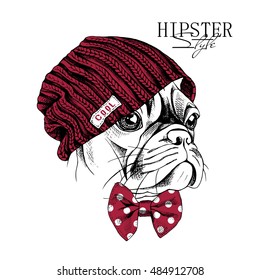 Portrait of a dog French Bulldog in a hipster knitted vinous hat and in a polka-dot tie. Vector illustration.