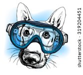Portrait of a dog German shepherd in a diving mask on blue background. Vector illustration.