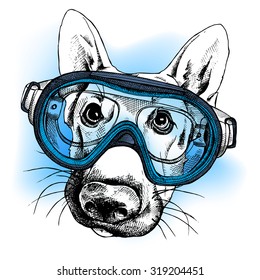 Portrait of a dog German shepherd in a diving mask on blue background. Vector illustration.