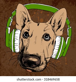 Portrait of a dog German shepherd in green headphones on brown background. Vector illustration.