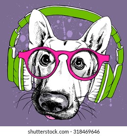 Portrait of a dog German shepherd in pink glasses and green headphones on violet background. Vector illustration.