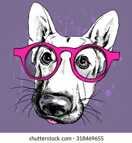 Portrait of a dog German shepherd in pink glasses on violet background. Vector illustration.