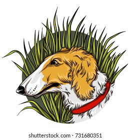 Portrait of a dog in the grass. Vector illustration.