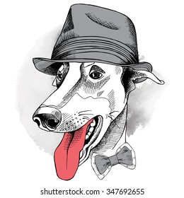 Portrait of a dog Greyhound wearing Elegant gray hat and tie. Vector illustration.