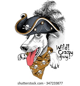 Portrait of a dog Greyhound wearing pirate hat and brown neckerchief with images of skull. Vector illustration.