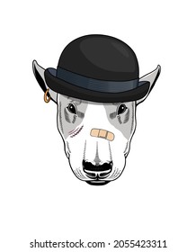 Portrait of Dog in a hat, Print for poster or t shirt, stickers, bowler hat. Vector illustration American Staffordshire Terrier