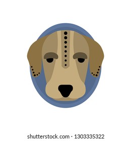 Portrait of a dog head. Color illustration. Flat vector image of dog head as a design element for logo, icon, template, label.