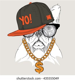 Portrait of dog in hip-hop hat. Vector illustration.