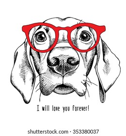 Portrait of a dog Labrador in red glasses. Vector illustration.