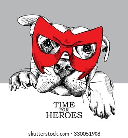 Portrait of a dog Labrador wearing red mask of hero. Vector illustration.