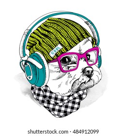 Portrait of a dog Maltese in a hipster knitted green hat and in a blue Headphones and with pink glasses. Vector illustration.