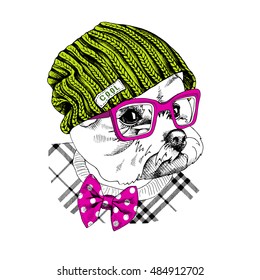 Portrait of a dog Maltese in a hipster knitted green hat and in a polka-dot tie and with pink glasses. Vector illustration.