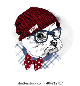 Portrait of a dog Maltese in a hipster knitted vinous hat and in a polka-dot tie and with blue glasses. Vector illustration.