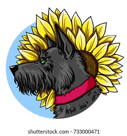 Portrait of a dog on a background of a sunflower. Vector illustration.