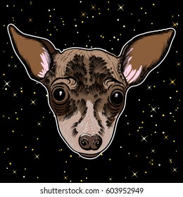 Portrait of  a dog on black background. Hand drawn puppy illustration. T- shirt and tattoo doggy concept design in black and color with gold glitter sparkles golden stars. Vector.