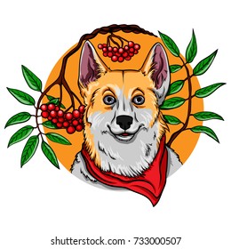 Portrait of a dog on a rowan tree background. Vector illustration.