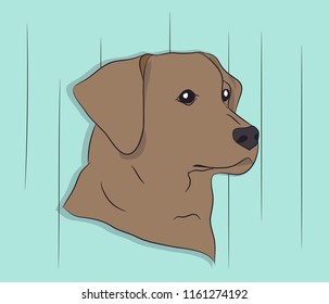 portrait of a dog on the wall background, vector, looks