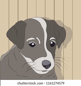 portrait of a dog on the wall background, vector, looks